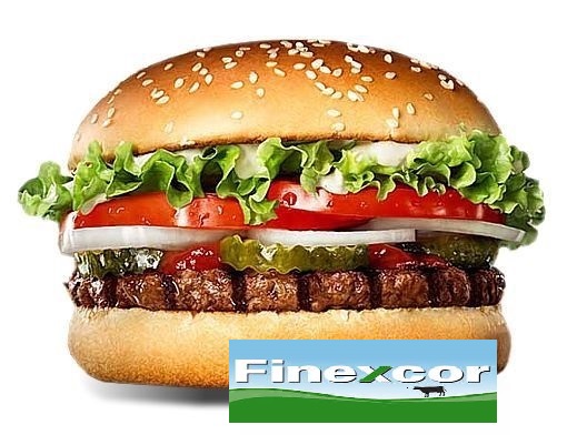 60 Hamburguesas FINEXCOR s/ Pan
